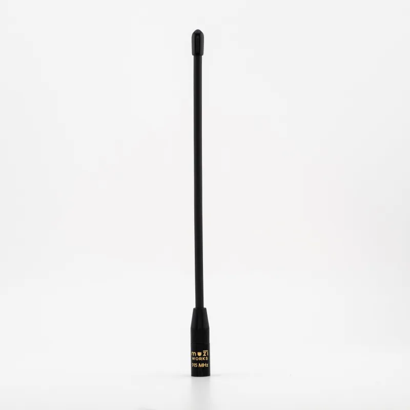 Branded Generic Gizont/Muzi/AtlaVox